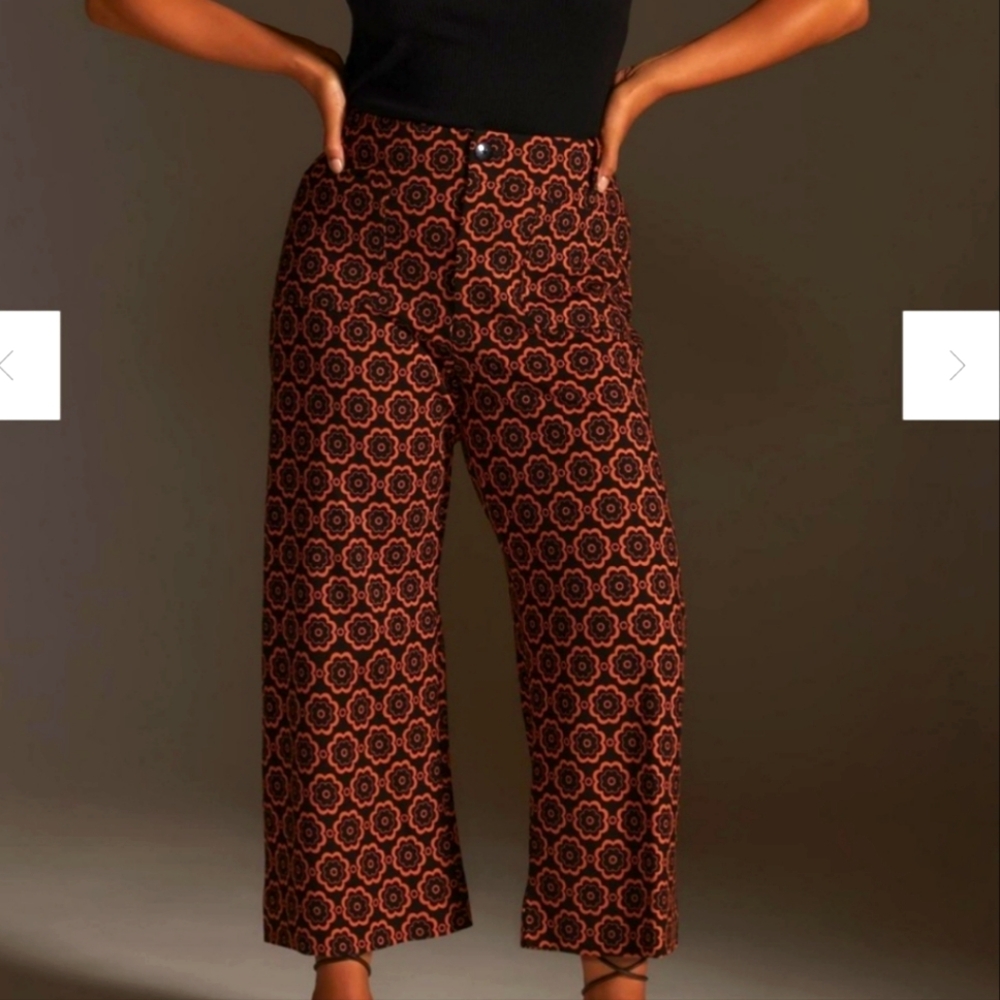 Anthropologie Maeve Colette Wide Leg Pants- EUC- size 31